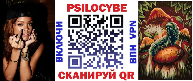 Псилоцибиновые грибы Cubensis Новоалтайск