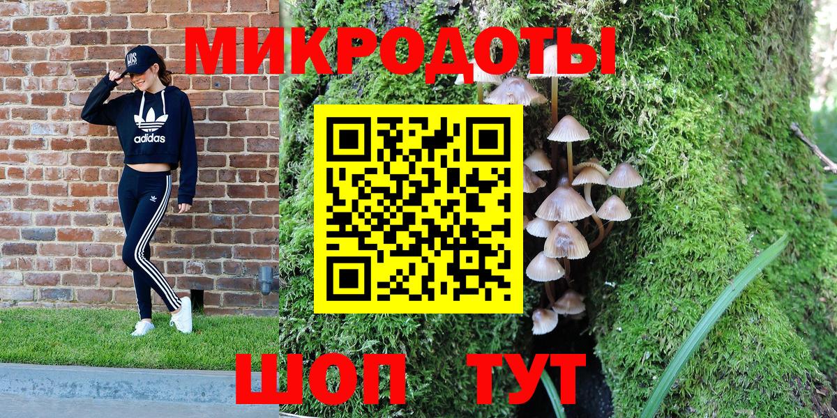 Галлюциногенные грибы мухоморы  Вход с VPN  где продают наркотики  Галлюциногенные грибы Magic Shrooms  Новоалтайск 