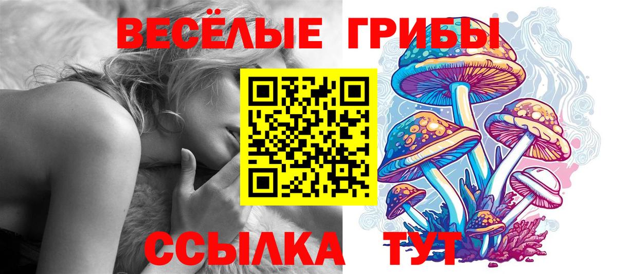 Галлюциногенные грибы прущие грибы Новоалтайск