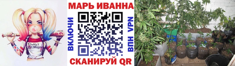 Конопля LSD WEED Новоалтайск